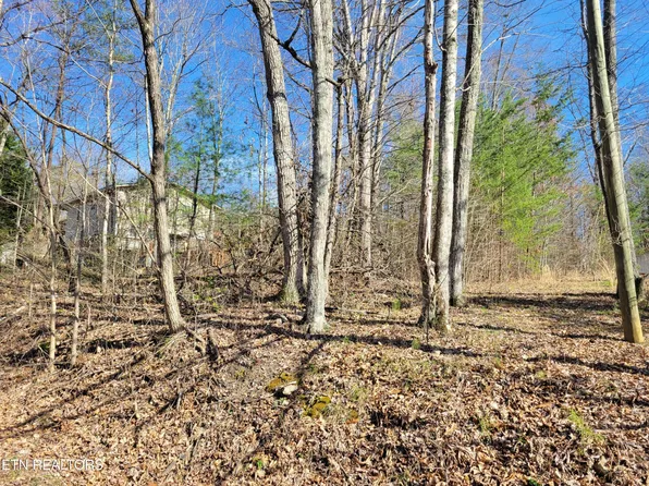 69 Alpine Dr Lot 69, Sevierville, TN 37876