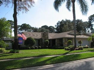 3095 Enisglen Dr, Palm Harbor, FL 34683