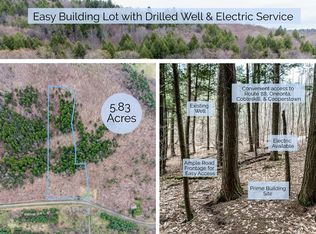 226 McCarthy Rd, Schenevus, NY 12155