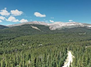 223 Guymard Rd, Fairplay, CO 80440