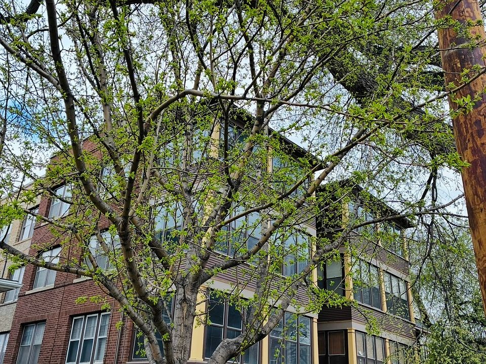 1st image of 915 2nd Ave S #8