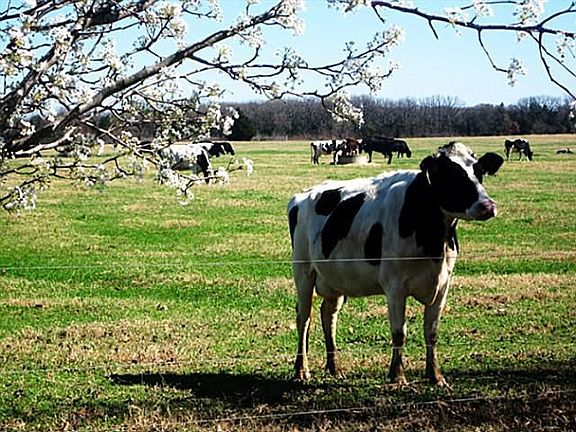 2nd image of 601 Vz County Road 1117