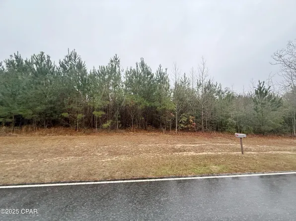 0 Butler Rd, Grand Ridge, FL 32442