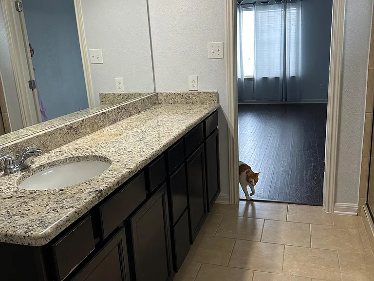 6703 Cibola Frst — Photo 31