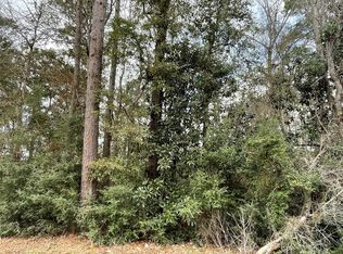 0 Codner Dr #224-227-4, Shepherd, TX 77371