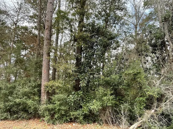 0 Codner Dr #224-227-4, Shepherd, TX 77371