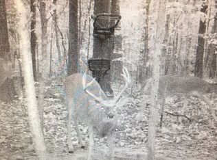 1391 Bush Rd, Cadiz, KY 42211