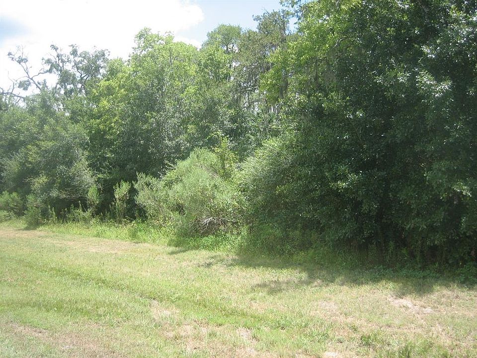 1st image of 407 Star Lake Dr