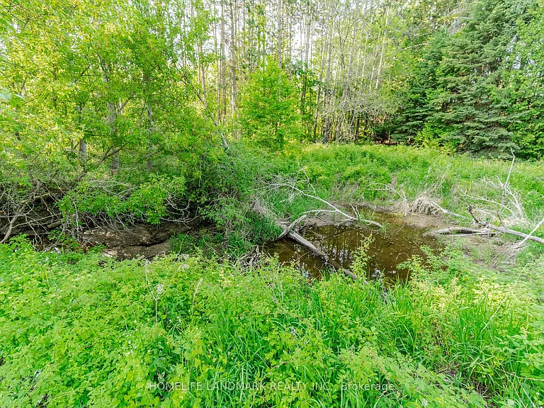 4754 County Road 90 — Photo 21