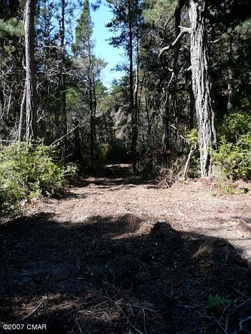 Rough cut-in driveway