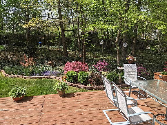 Azaleas behind deck