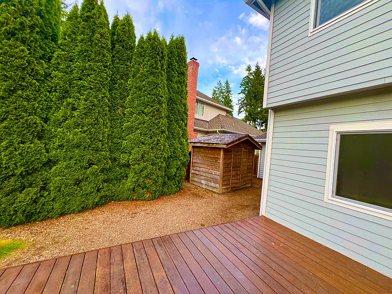 Backyard - Shed