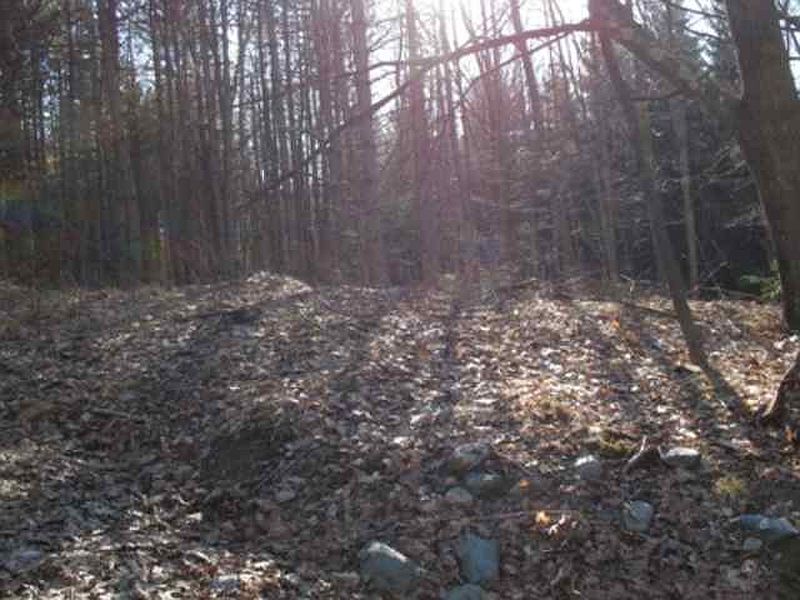 4th image of Lot 1 STEWART Road