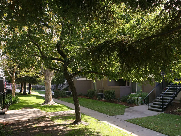 Mosaic Gardens at Taylor Terrace — Photo 4