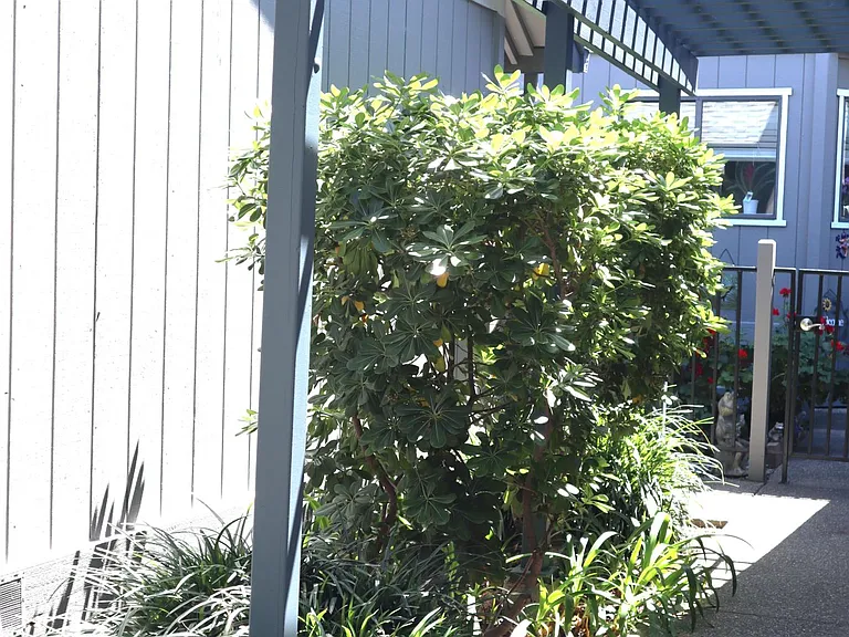 Side entry to townhouse