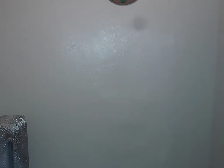 Walking into the apartment, first view
