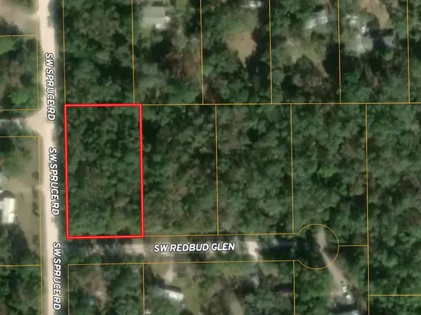 Tbd Sw Spruce Rd, Fort White, FL 32038