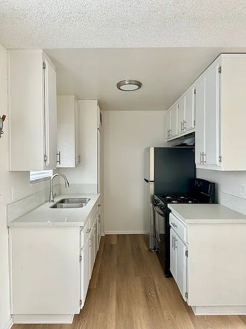 2 bed, 700 sqft, $2,450 — Photo 3