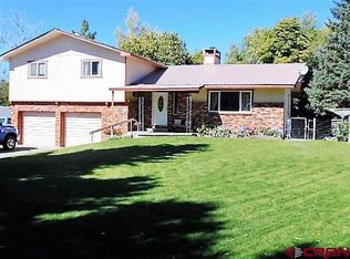 590 SW 2nd Ave, Cedaredge, CO 81413