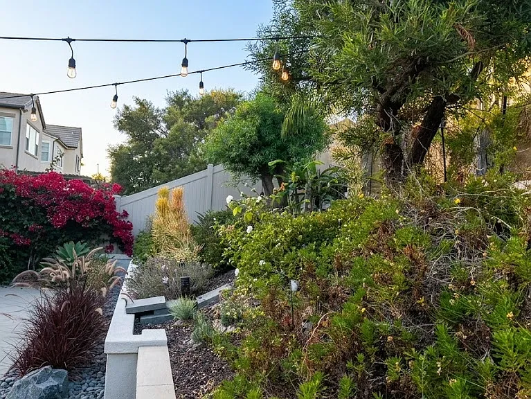 6485 Autumn Gold Way — Photo 14