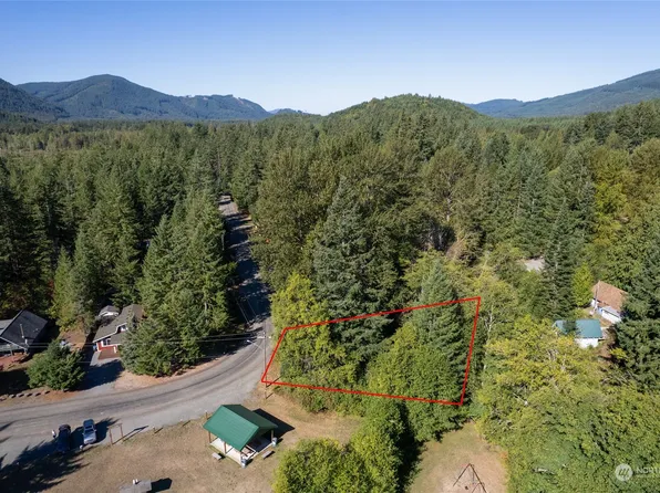 110 Mountain View Drive N, Ashford, WA 98304