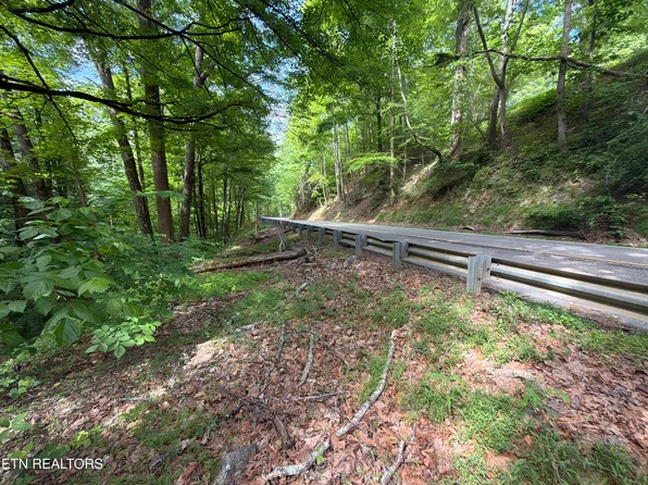 Wears Valley Rd, Townsend, TN 37882
