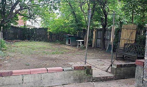 Rear Yard