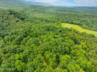 750 Blue Beech Dr LOT 10, Maryville, TN 37803