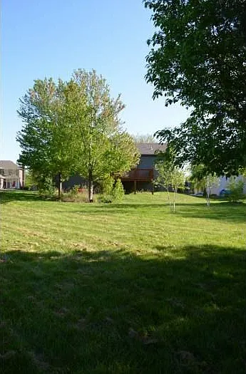 Backyard Facing House