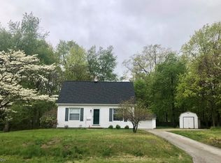 167 N Doan Ave, Painesville, OH 44077