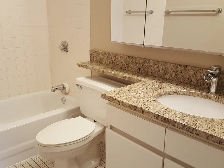 440 N Wabash Ave #612 — Photo 9
