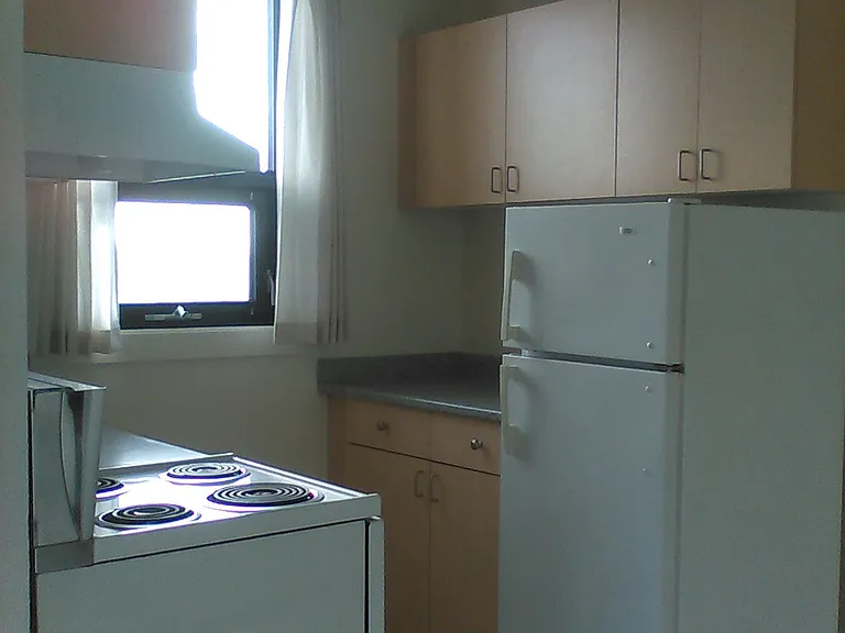 1147 Quadra St — Photo 8