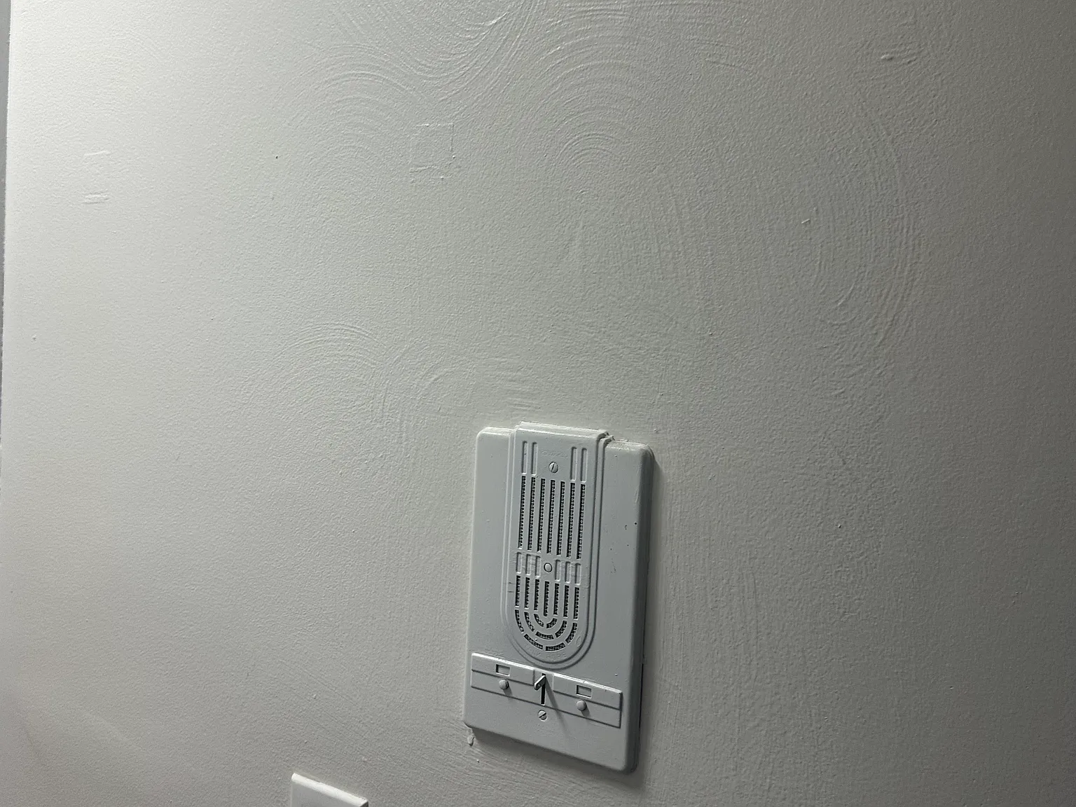 1 bed, $600 — Photo 3