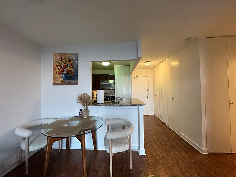 1455 N Sandburg Ter #1207 — Photo 10