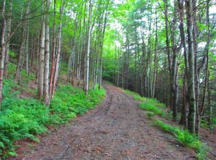 0 County Highway 56, Schenevus, NY 12155