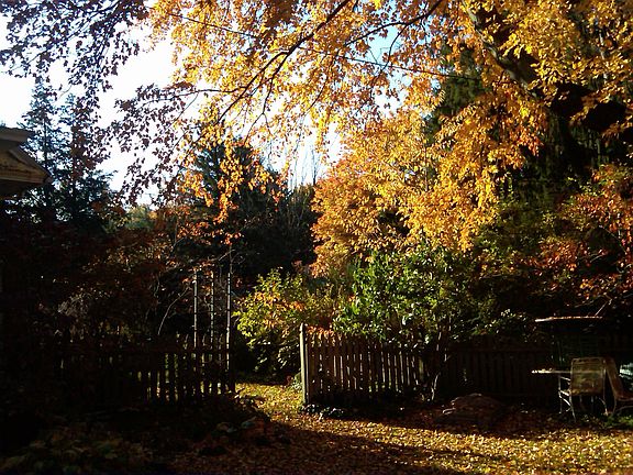 Courtyard to Spring Garden