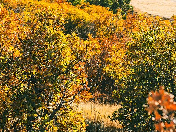 The Canyons Open Space