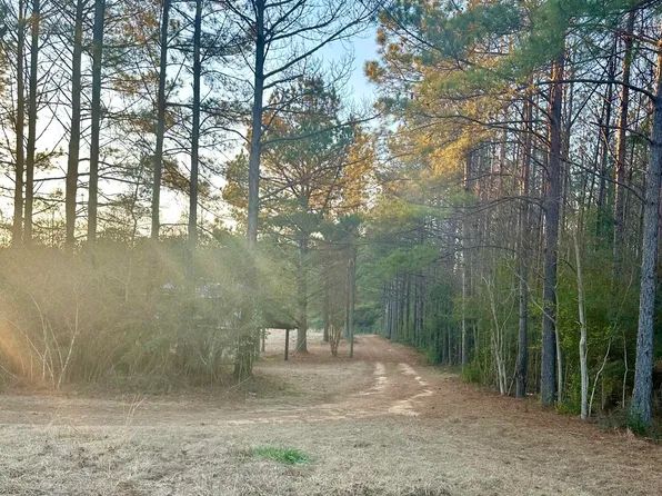 314 Alex Daley Rd, Carson, MS 39427