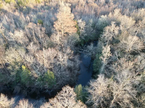 0 County Highway 20, Evergreen, AL 36401