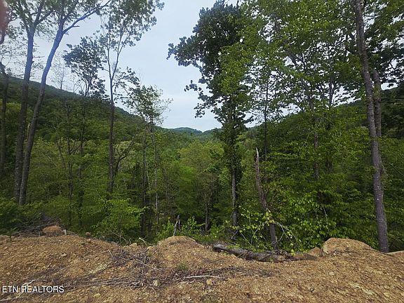 4th image of 2774 Stanley Creek Rd