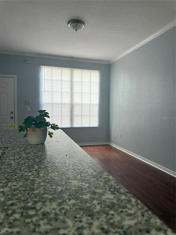 1 bed, 1.0 bath, 499 sqft, $1,450 — Photo 3