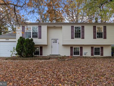 3902 Newman Ct, Waldorf, MD, 20602