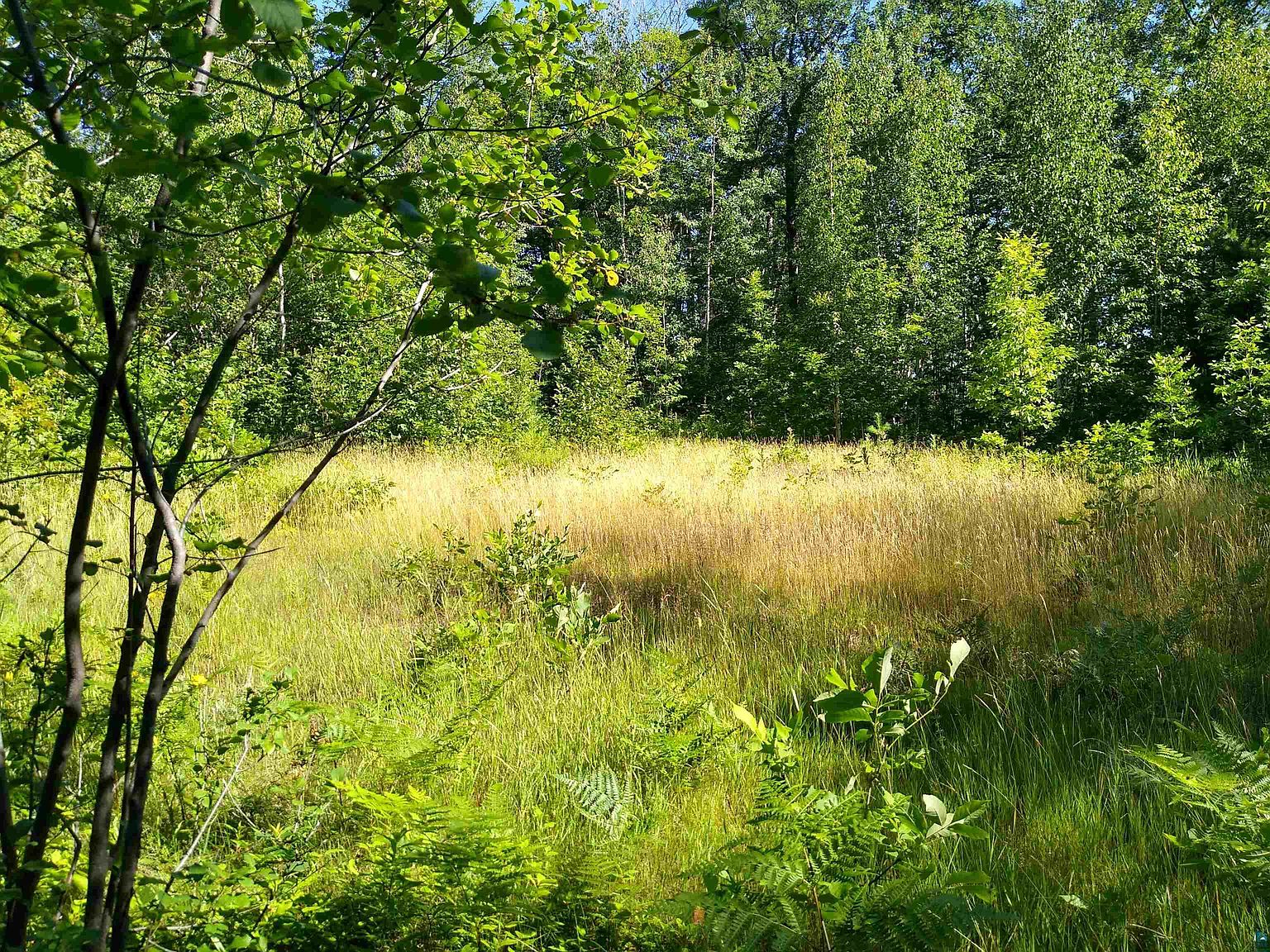 Xxx86 Meyers Olson Rd, Bayfield, WI 54814 | Zillow