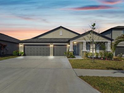 5425 Leslie Canyon Dr, Wimauma, FL, 33598