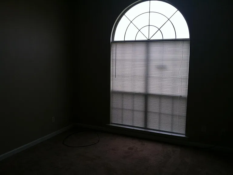 6881 Mikayla Ln — Photo 8