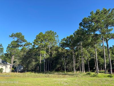 463 Arlington Drive SE, Bolivia, NC, 28422