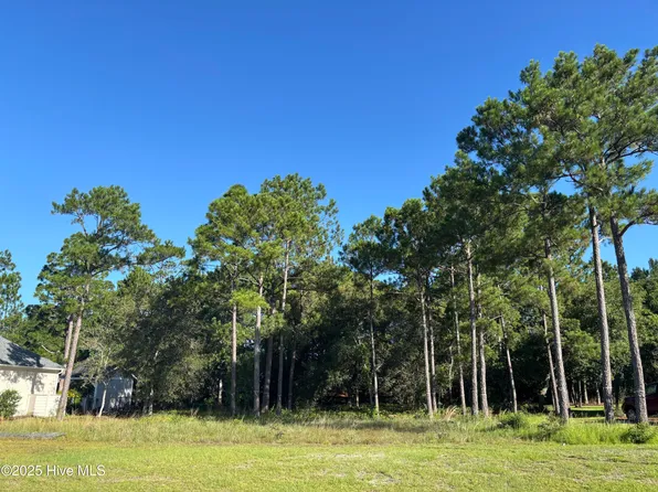 463 Arlington Drive SE, Bolivia, NC 28422