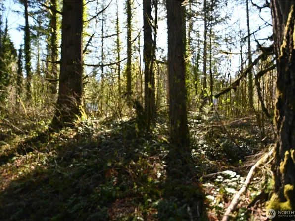 0 Old Cascade Hwy, Skykomish, WA 98288