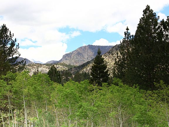 View from front porch