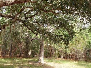 115 Blue Grass Ln, Brunswick, GA 31525